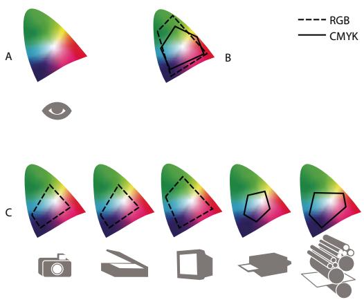 ADOBE PHOTOSHOP CS3 - Pourquoi les couleurs ne concordent pas toujours - 1