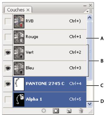 ADOBE PHOTOSHOP CS3 - Sélection et modification des couches - 1