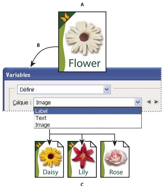 ADOBE PHOTOSHOP CS3 - Générez des graphiques en les exportant avec les données. - 1