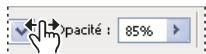 ADOBE PHOTOSHOP CS3 - A propos des curseurs de proximité - 1
