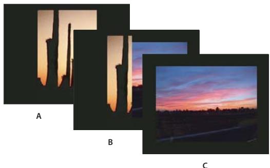 ADOBE PHOTOSHOP CS3 - Création d'une présentation PDF - 1