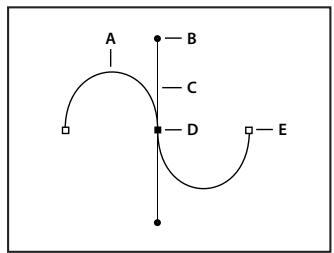 ADOBE PHOTOSHOP CS3 - Segments, composants et points de tracés - 1