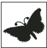 ADOBE PHOTOSHOP CS3 - A propos des masques et des couches alpha - 2