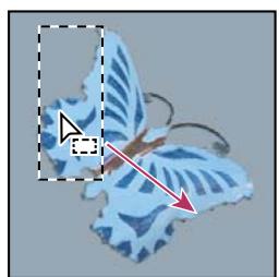 ADOBE PHOTOSHOP CS3 - Pour déplacer un cadre de sélection - 1