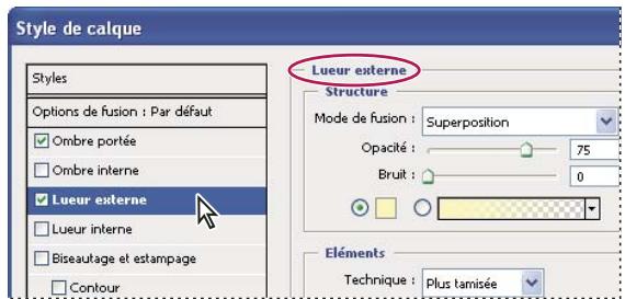 ADOBE PHOTOSHOP CS3 - Présentation de la boîte de dialogue Style de calque - 1