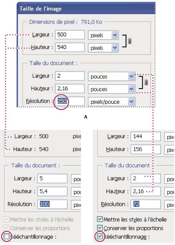 ADOBE PHOTOSHOP CS3 - A propos des dimensions en pixels et de la résolution - 2