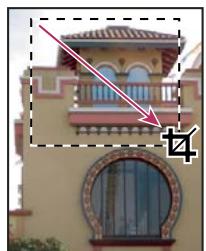 ADOBE PHOTOSHOP CS3 - Recadrage d'images - 1