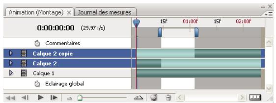 ADOBE PHOTOSHOP CS3 - Commande Relever la zone de travail (Photoshop Extended) - 2