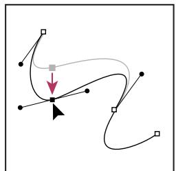 ADOBE PHOTOSHOP CS3 - Réglage de la position ou de la forme des segments courbes - 2