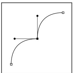 ADOBE PHOTOSHOP CS3 - Segments, composants et points de tracés - 3