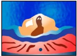 ADOBE PREMIERE PRO CS4 - Effet Turbulences - 3