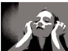 ADOBE PREMIERE PRO CS4 - Définir les plages tonales dans un élément - 3