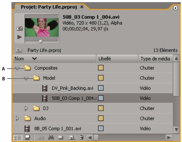 ADOBE PREMIERE PRO CS4 - A propos des chutiers - 1
