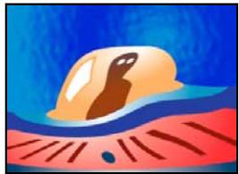 ADOBE PREMIERE PRO CS4 - Effet Turbulences - 2