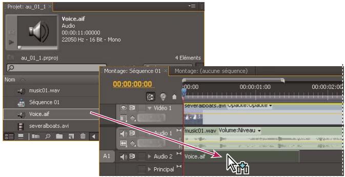 ADOBE PREMIERE PRO CS4 - Pistes audio dans une série - 1