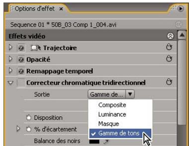 ADOBE PREMIERE PRO CS4 - Définir les plages tonales dans un élément - 2