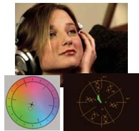 ADOBE PREMIERE PRO CS4 - Modifier la balance des couleurs et la saturation - 4