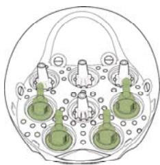 TERRAILLON MICROWAVE STEAM STERILIZER - COMO UTILIZAR EL ESTERILIZADOR DE VAPOR MICROONDAS - 2