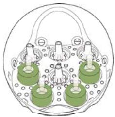TERRAILLON MICROWAVE STEAM STERILIZER - PRODUCTBESCHRIJVING - 4
