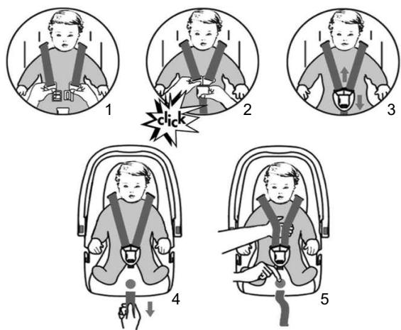 KIDDY NEST - Using the straps - 2