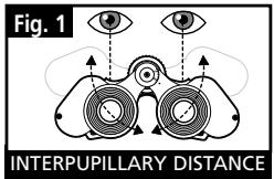 BUSHNELL 11-0832 - EYE ADJUSTMENTS (Figure 1) - 1