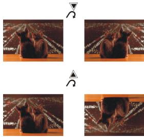 LENCO WALKY-BOX - Inversion d'images - 1