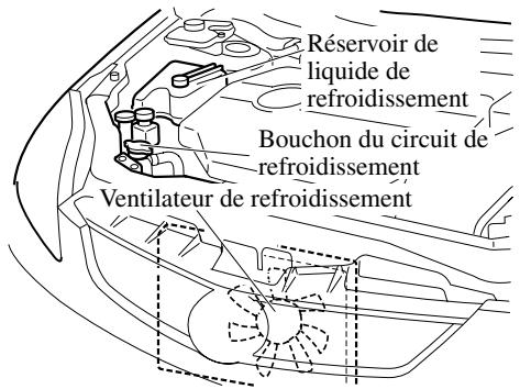 MAZDA 5 - Si l'on découvert une fuite ou autres dommages, ou si du liquide de refroidissement fait toujours: - 1