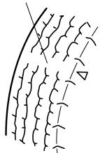 MAZDA 5 - (Avec système de surveillance de pression des pneus) - 2