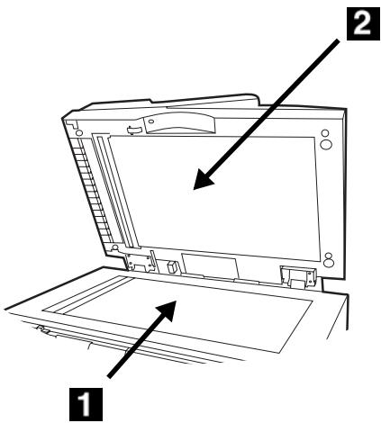 OKI C5550NMFP - Limpieza del vidrio del ADF - 2