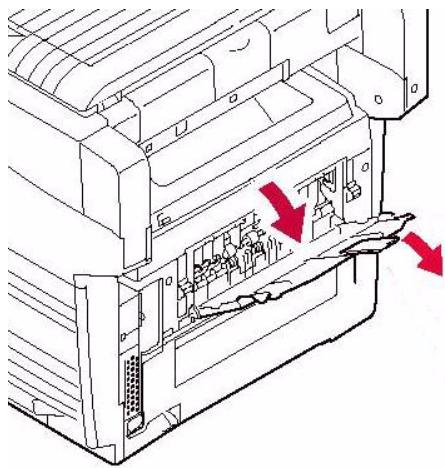 OKI C5550NMFP - Rear Exit Tray (Face Up) - 1