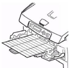 OKI C5550NMFP - Labels - 1