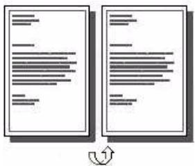 OKI C5550NMFP - Grand côte - 1