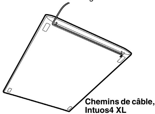 WACOM INTUOS4 MOUSE, INTUOS4 MOUSE, INTUOS4 XL A3 WIDE CAD, INTUOS4 XL A3 WIDE DTP - Installation du câble USB - 2