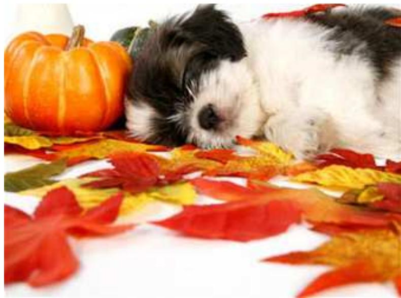 TRANSCEND PF830 - Mode Photo - 1