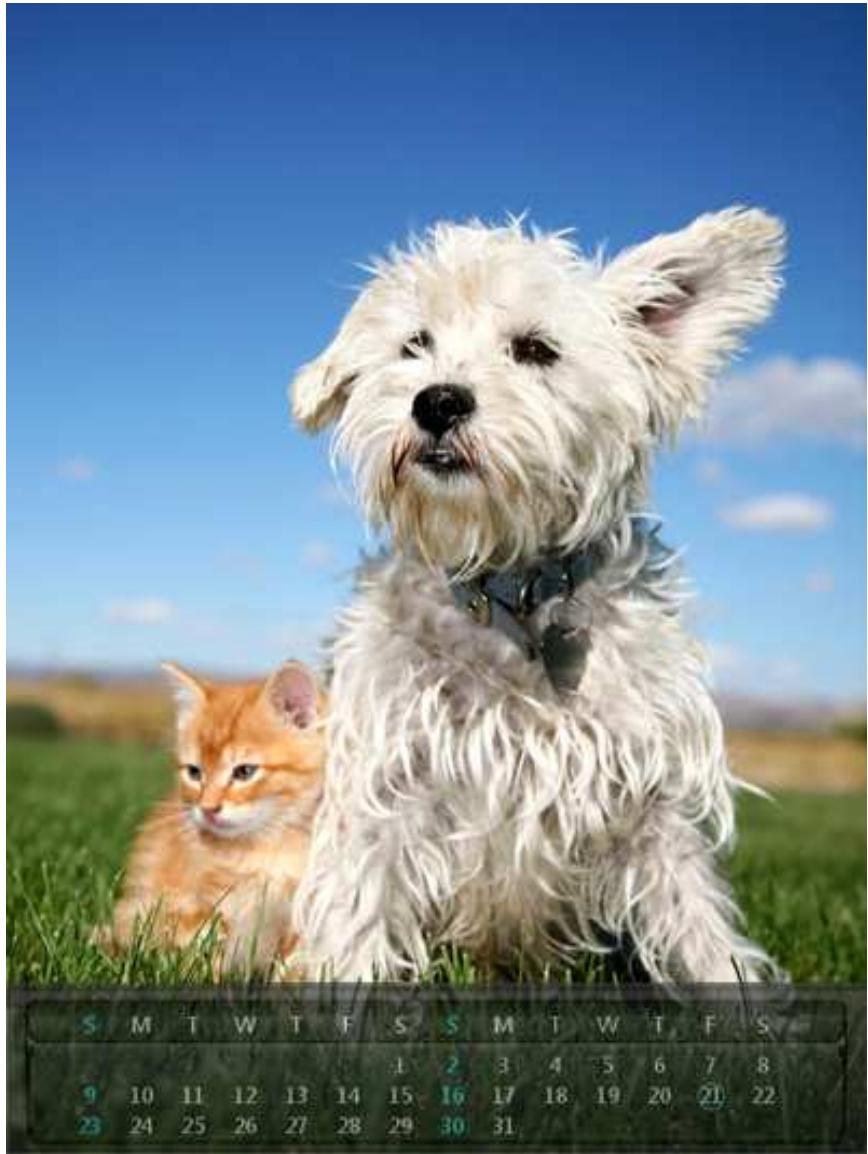 TRANSCEND PF830 - Calendar - 2