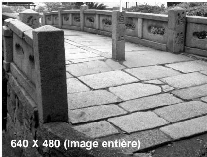 MINOLTA DIMAGE A1 - REMARQUES SUR LA TAILLE DE L'IMAGE ET LA RÉSOLUTION - 3