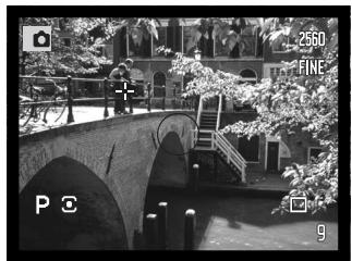 MINOLTA DIMAGE A1 - ZONE DE MESURE SPOT - 1
