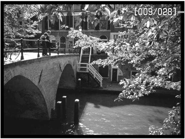 MINOLTA DIMAGE A1 - DIAPORAMA - 2