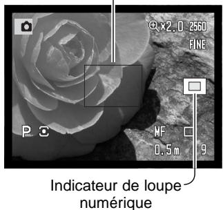 MINOLTA DIMAGE A1 - LOUPE NUMÉRIQUE VARIABLE (FDM) - 3