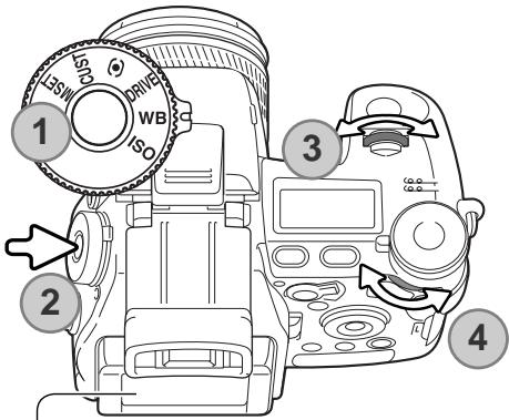 MINOLTA DIMAGE A1 - BALANCE DES BLANCS - 1
