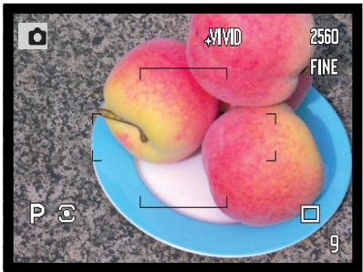 MINOLTA DIMAGE A1 - MODE COULEURS - 4