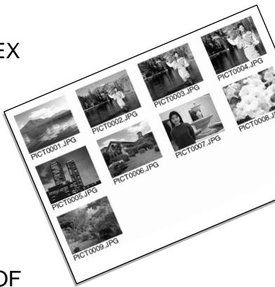 MINOLTA DIMAGE A1 - CRÉATION D'UN ORDRE D'IMPRESSION D'INDEX - 1