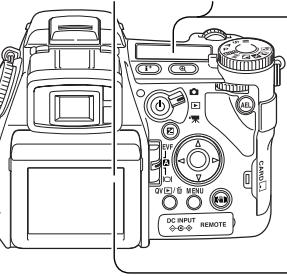 MINOLTA DIMAGE A1 - TAILLE ET QUALITÉ D'IMAGE - 1