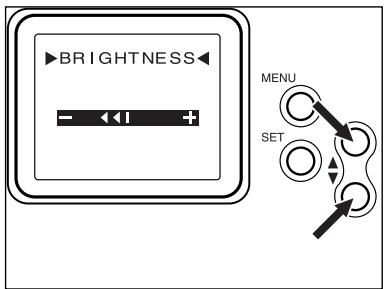 MINOLTA DIMAGE RD 3000 - Annulation de la protection des IMAGES - 7