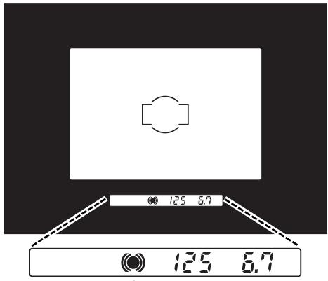 MINOLTA DIMAGE RD 3000 - Témoins de mise au point - 1