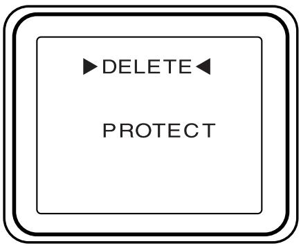 MINOLTA DIMAGE RD 3000 - Annulation de la protection des IMAGES - 2