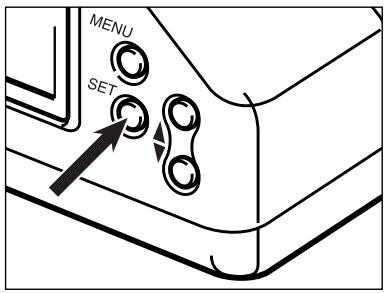 MINOLTA DIMAGE RD 3000 - Visualisation d'une planche-index - 7