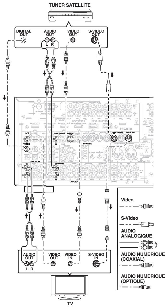 MARANTZ AV8003 - Raccordement d'elements VIDEO - 1