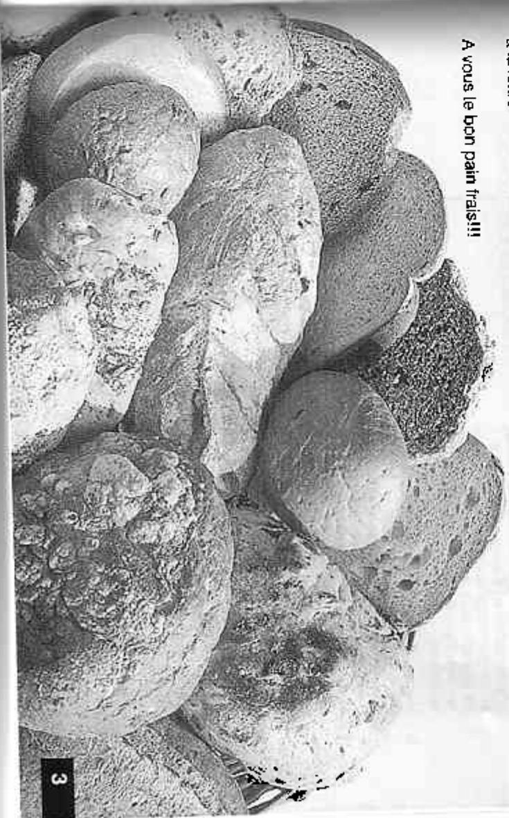 BREVILLE BREAD MASTER - TABLE des matières - 1