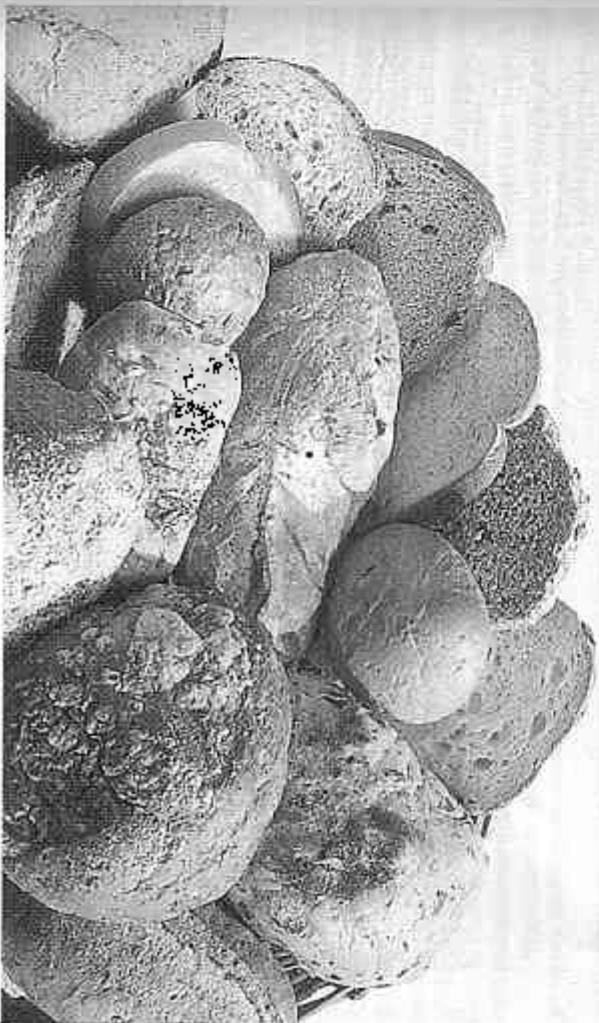 BREVILLE BREAD MASTER - Caractéristiques de votre BREAD MASTER breville - 7